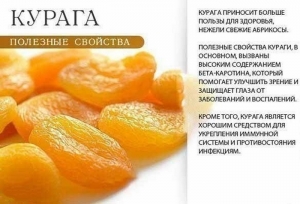 Полезные свойства кураги