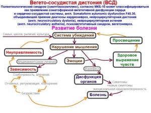 Понятие вегетативно-сосудистой дистонии