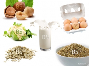 Продукты содержащие витамин b5