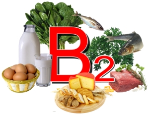Продукты содержащие витамин b2